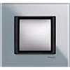 Рамка одинарная матовое стекло, Unica Class - SCMGU68.002.7C3