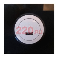 Розетка USB 5v, 1A — переходник-адаптер в обычную розетку (Valena, LK60, Vintage, Schneider Electric GLOSSA и т.п.), белый в каталоге электрики 220.ru, артикул DP-10A-01-04
