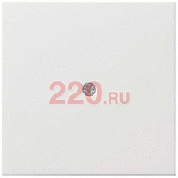 Накладка розетки для подключения средств связи глянцевый белый, Gira F100 в каталоге электрики 220.ru, артикул G0274112