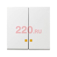 Накладка двухклавишная с контрольными окнами глянцевый белый, Gira System 55 в каталоге электрики 220.ru, артикул G063103
