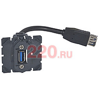 Розетка USB укомплектованная кабелем - Celiane в каталоге электрики 220.ru, артикул LN-067372