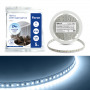 Светодиодная LED лента Feron LS501, 120SMD(2835)/м 11Вт/м 24V 5000*8*1.22мм 6000К IP20 в каталоге электрики 220.ru, артикул 41058