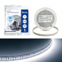 Светодиодная LED лента Feron LS616, 180SMD(2835)/m 17W/m 12V 5m 6500К в каталоге электрики 220.ru, артикул 41280
