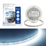 Светодиодная LED лента Feron LS502, 180SMD(2835)/м 16Вт/м 24V 5000*10*1.22мм 6000К IP20 в каталоге электрики 220.ru, артикул 41529