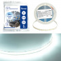 Светодиодная LED лента Feron LS503 240SMD(2835)/м 22Вт/м 24V 5000*10*1.22мм 6000К, IP20 в каталоге электрики 220.ru, артикул 48831