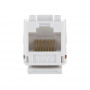 Механизм розетки компьютерной RJ-45, кат.6, UTP модуль (8 контакта) LK в каталоге электрики 220.ru, артикул 856300